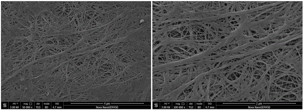 Polyethylene microporous membrane and preparation method of polyethylene microporous membrane