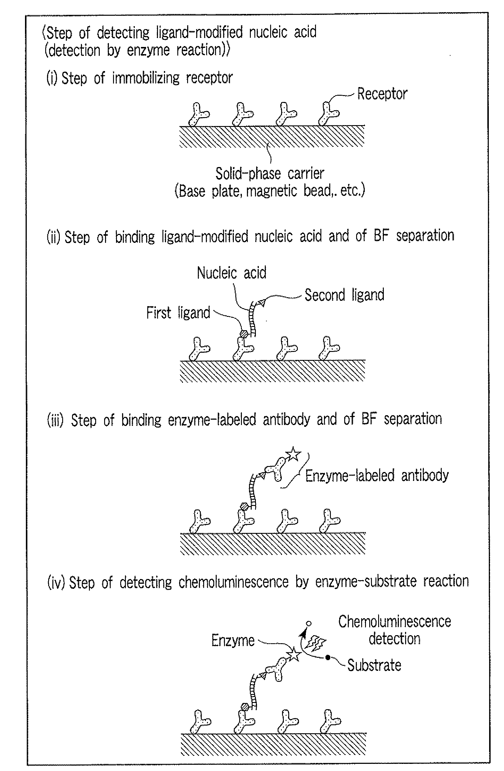 Method for detecting nucleic acid