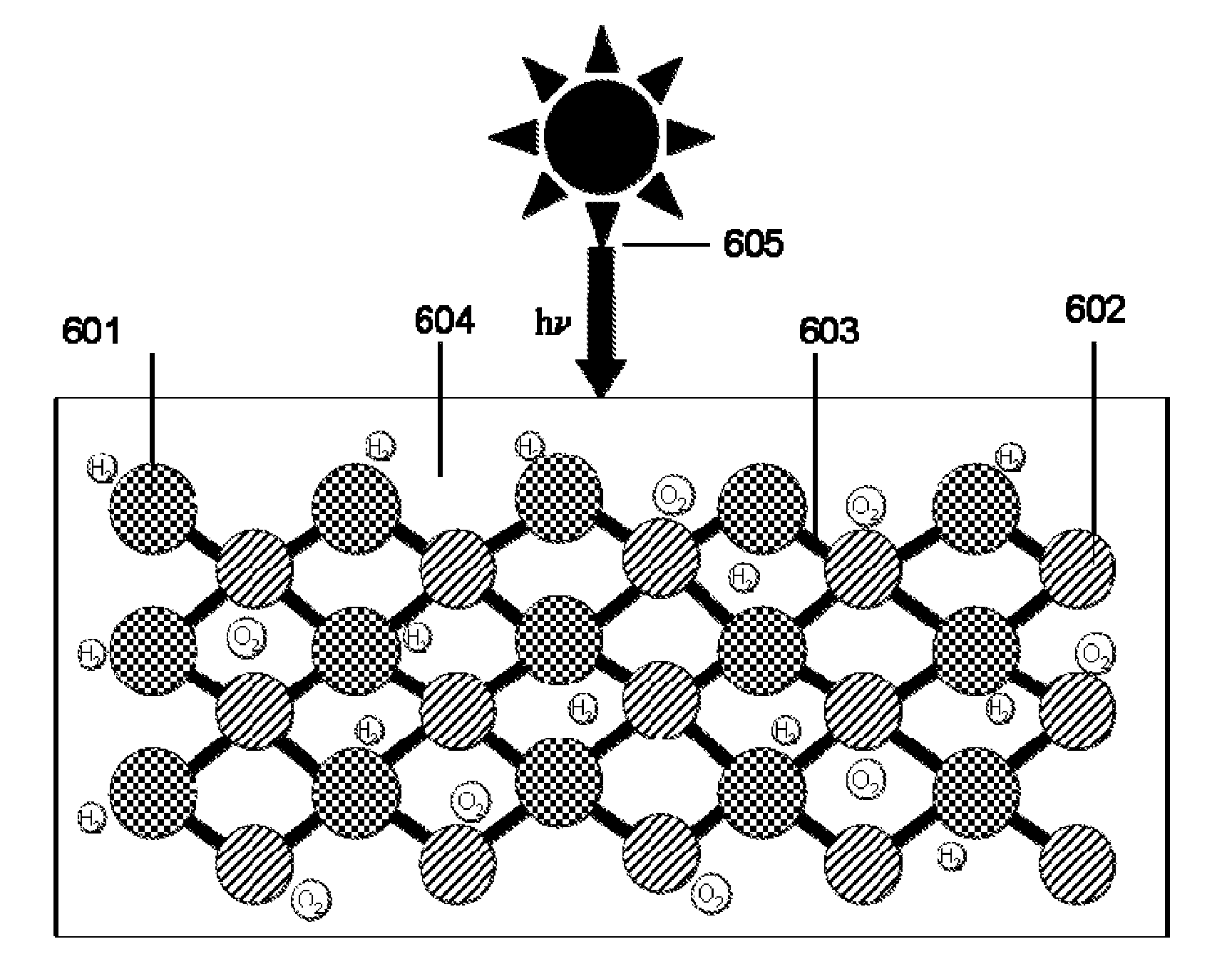 System and method for direct conversion of solar energy to chemical energy