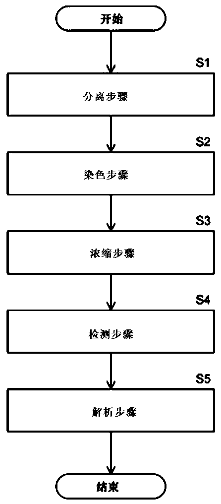 Cell detection method and cell detection system