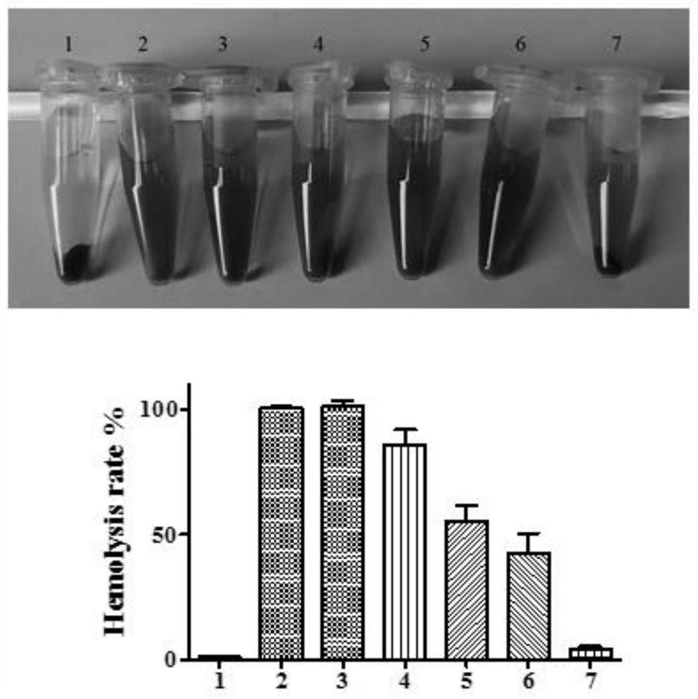 Injectable holothurin mesoporous silica nano-composite as well as preparation method and application thereof