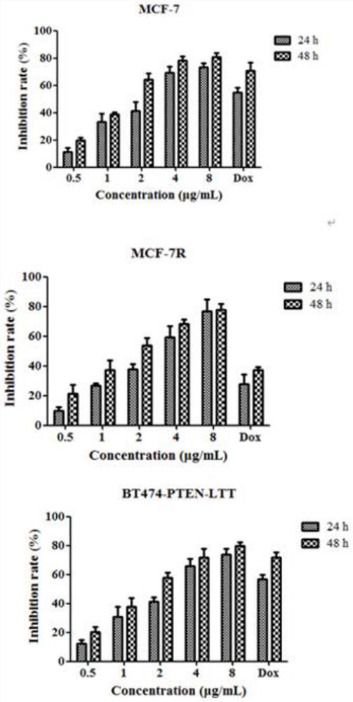 Injectable holothurin mesoporous silica nano-composite as well as preparation method and application thereof