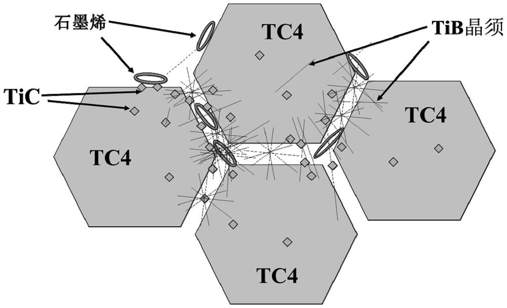 A preparation method for realizing high strength and toughness of tc4 titanium alloy by co-strengthening method