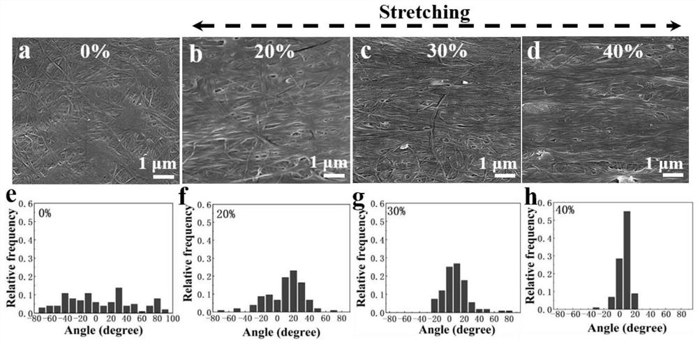 A kind of bacterial cellulose composite film with high orientation and high strength and its preparation and application
