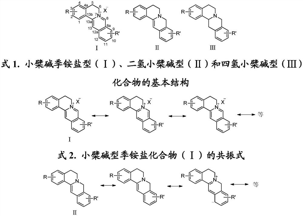 r  <sub>10</sub> with r  <sub>11</sub> Linked hydrophilic berberine derivatives and their application in the preparation of medicines