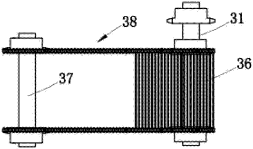 Vegetable stripping device and laver processing device