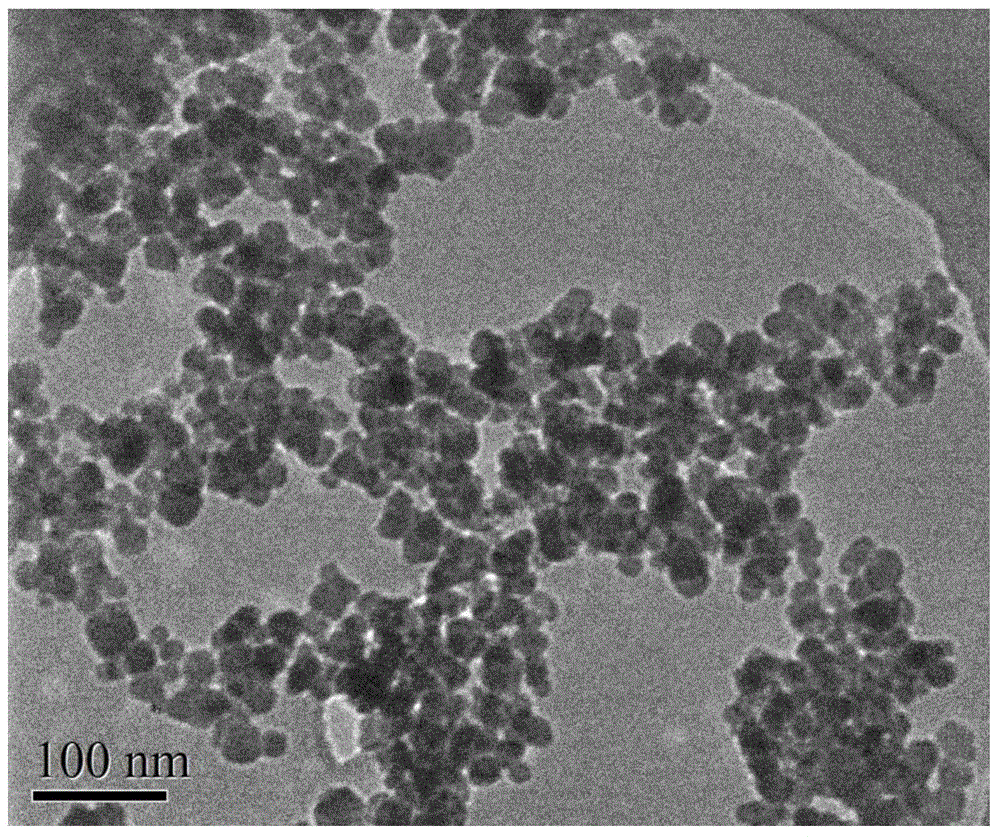 Method for preparing nanoscale ferroferric oxide from steel pickling wastewater