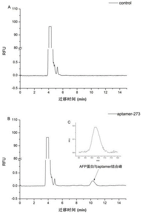 Method for screening aptamer specifically bound with alpha-fetoprotein