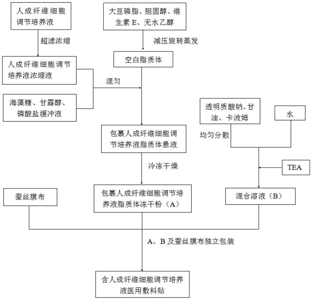 Medical dressing containing human fibroblast regulated culture solution, preparation method and application