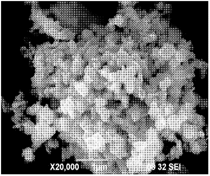 Method for preparing hexagonal BeFe12O19 (barium ferrite) magnetic nano powder by microwave-hydrothemal method
