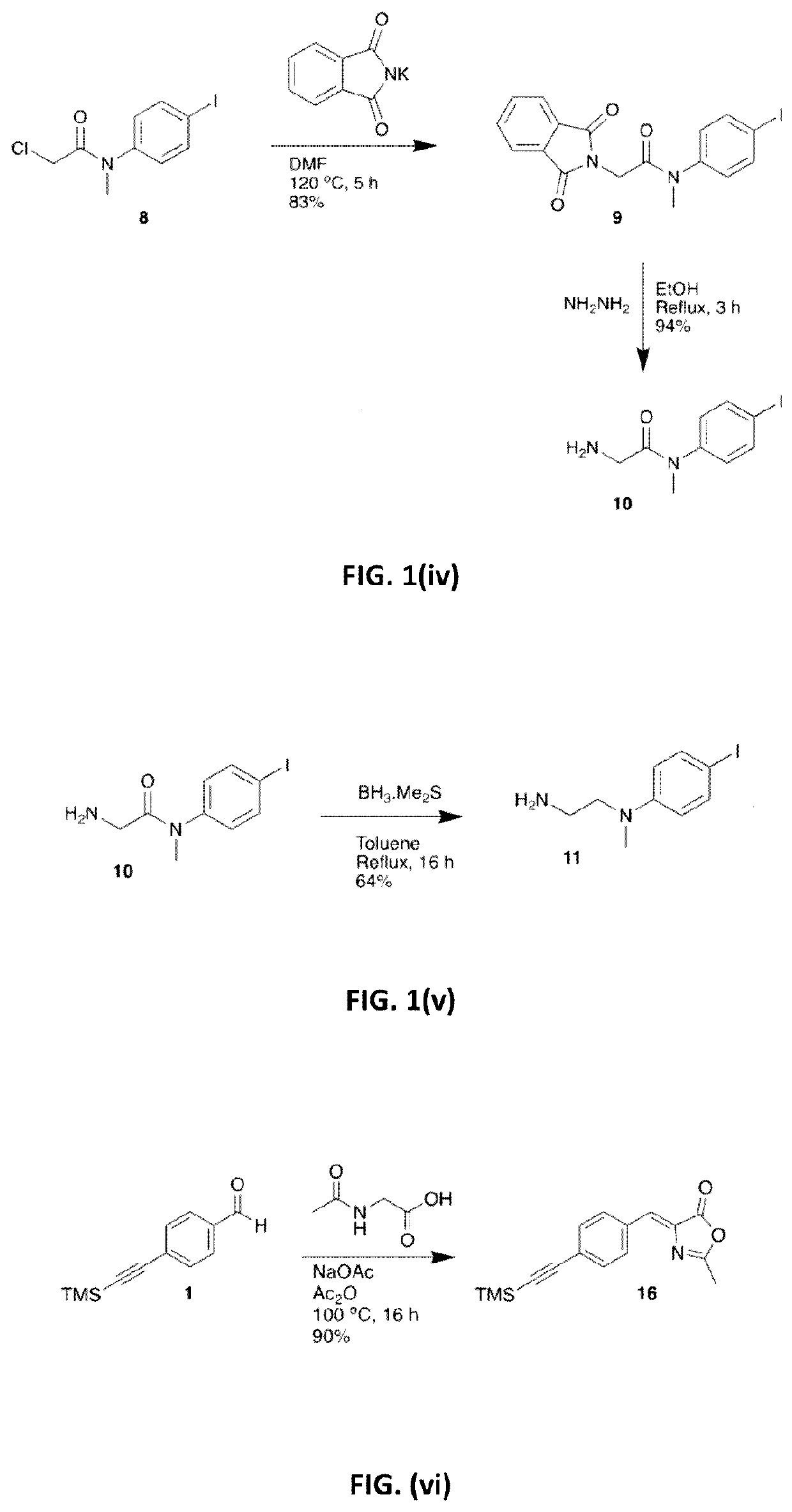 Fluorescent systems for biological imaging and uses thereof