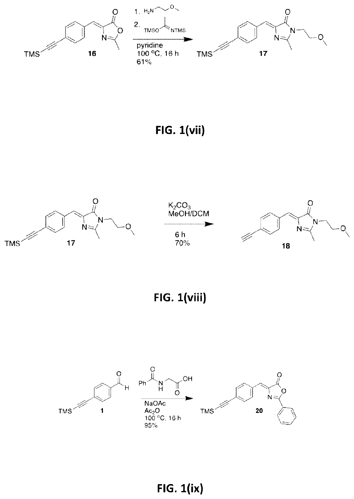 Fluorescent systems for biological imaging and uses thereof