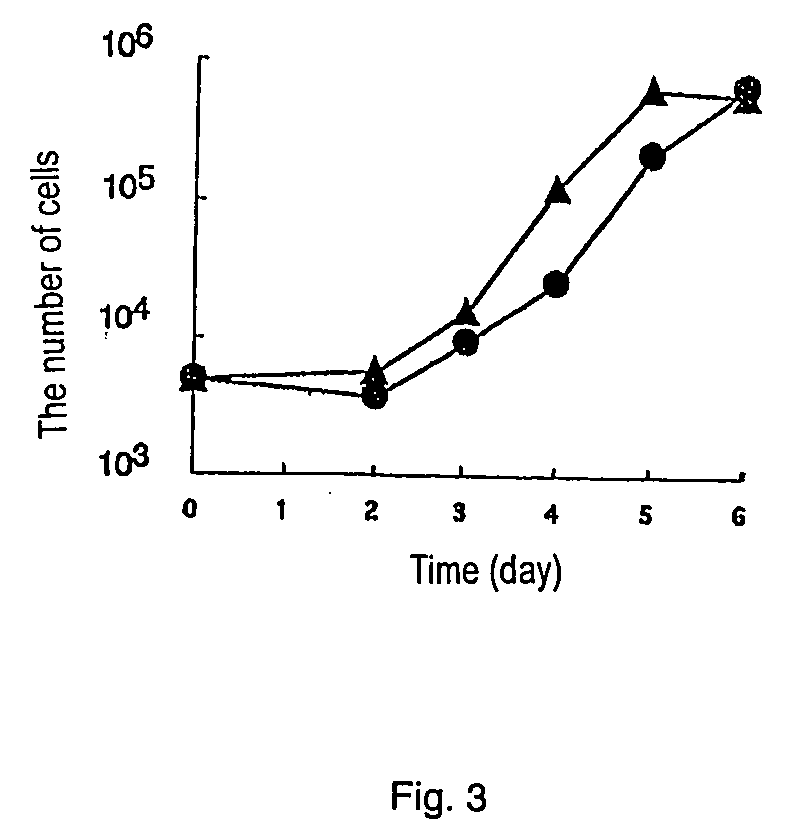 Basal Medium For Es Culturing