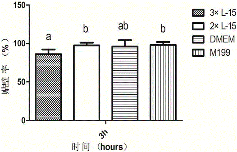 Eriocheir hepatopancreas cell separation and primary culture method