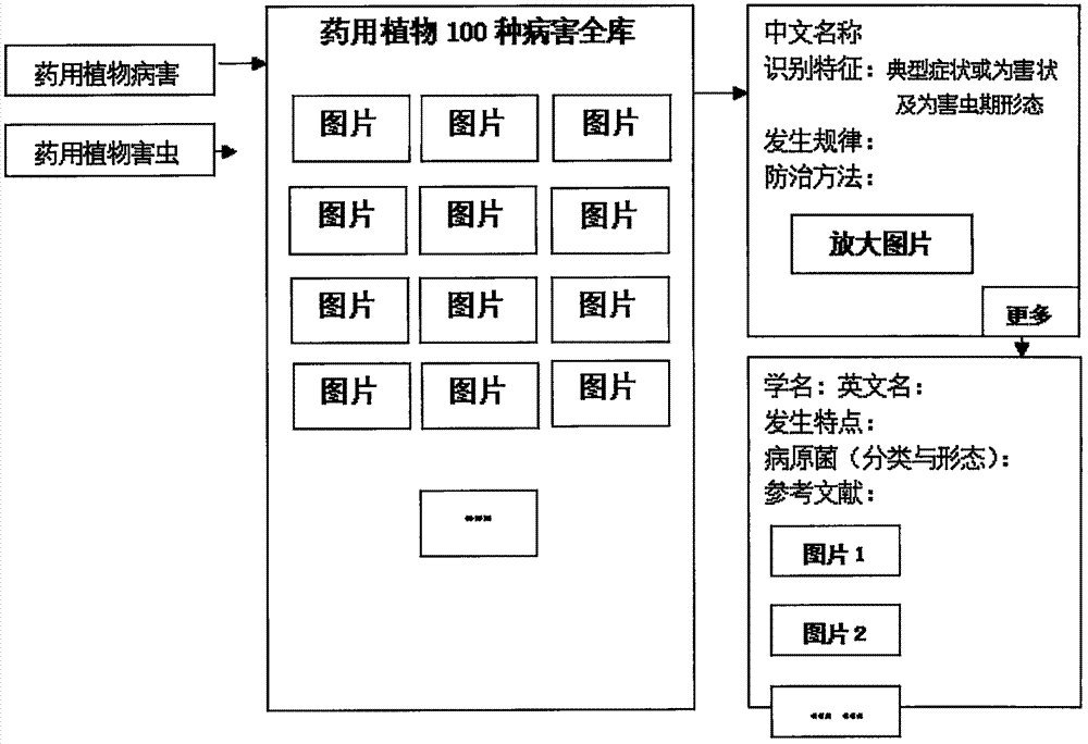 Medicinal plant disease and insect pest diagnosis treatment expert system