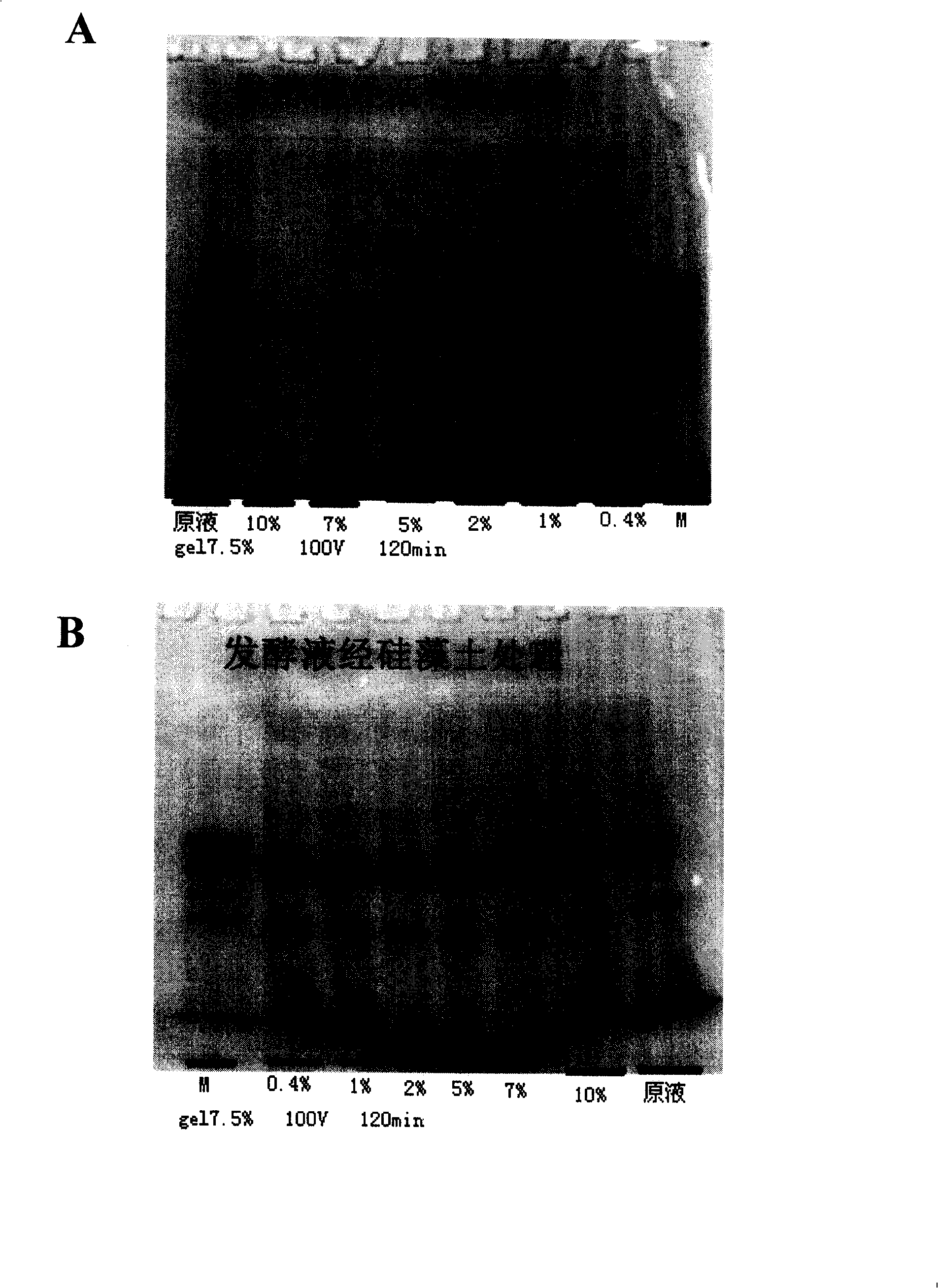 Technique for preparing amalgamation protein skin-protection product containing albuminar and skin cell growth factor, and uses of the same