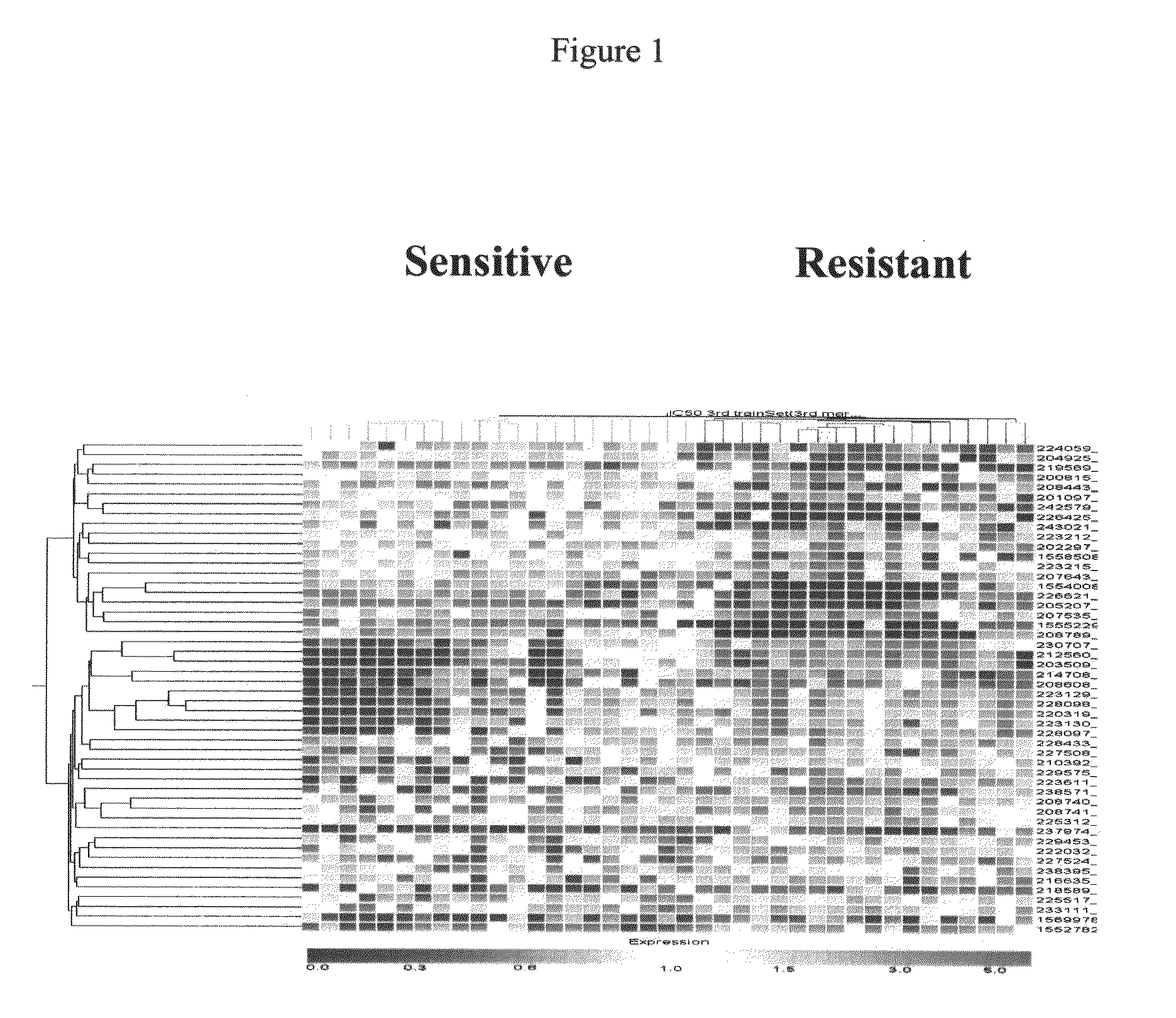 Transcriptome microarray technology and methods of using the same