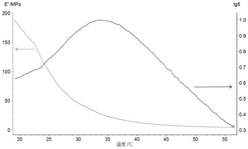 Acrylic ester polymer, preparation method and application thereof, acrylic ester polymer coating and application thereof