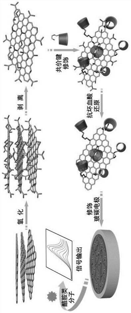 An electrochemical sensor for detecting tyramide molecules, its preparation method and application