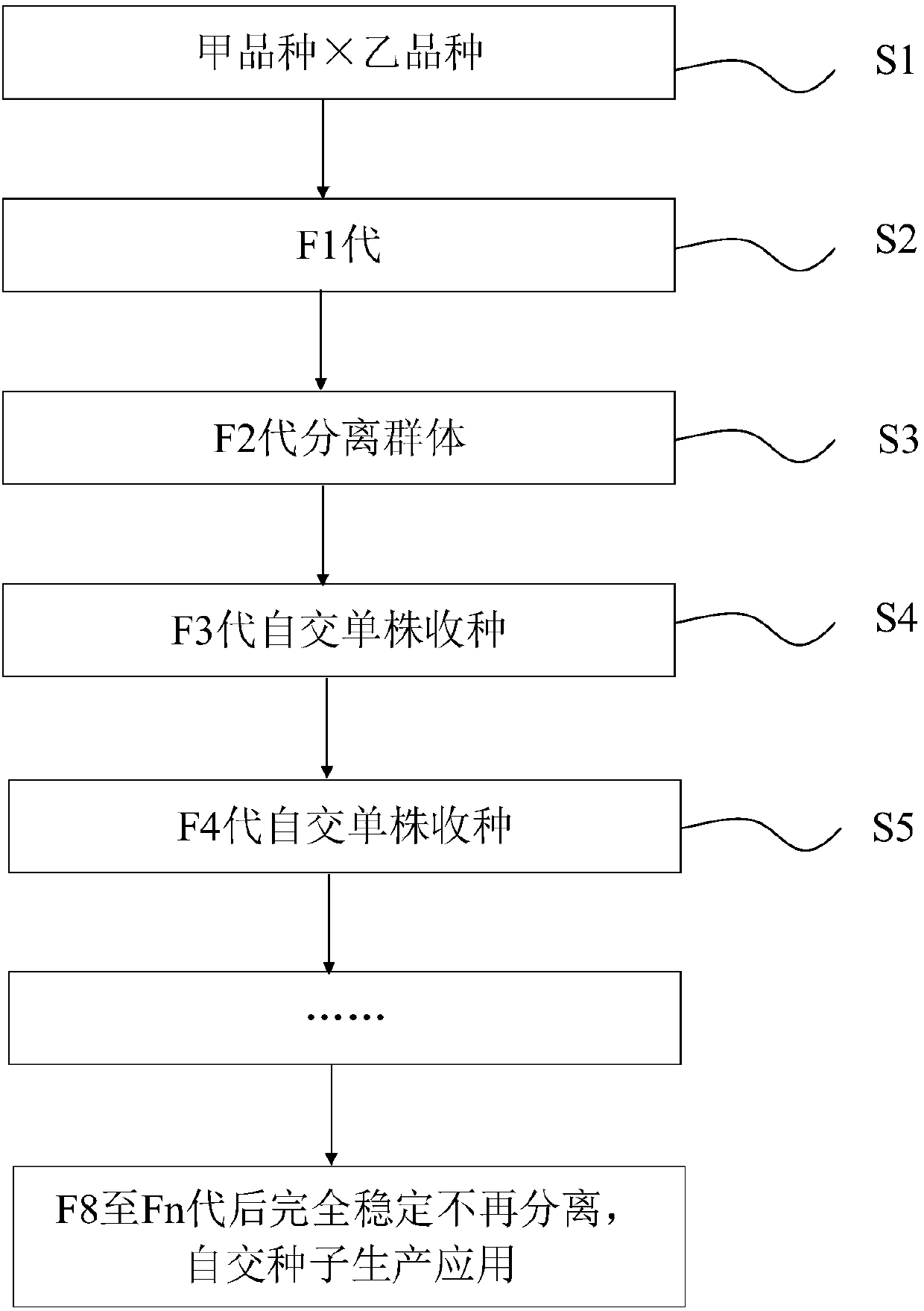 Paddy rice seeds production method and application thereof