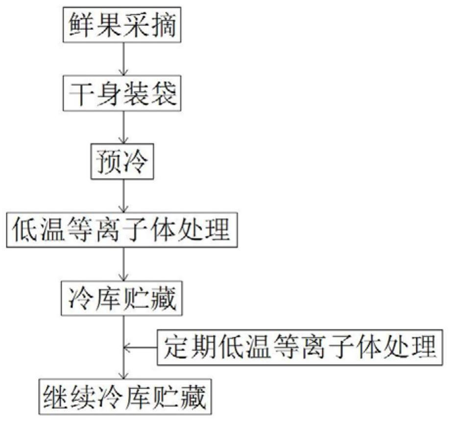 Litchi low-temperature plasma sterile controlled atmosphere preservation method