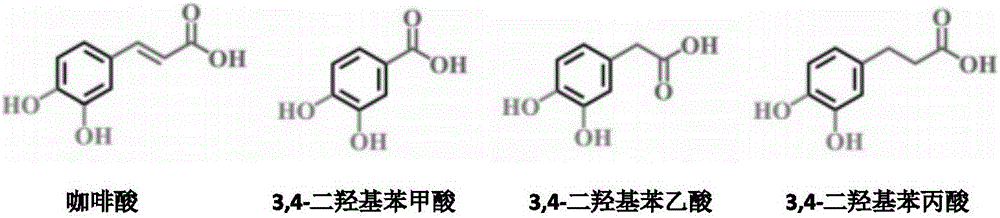 Barium titanate particles, barium titanate/fluorine-containing polymer composite material, and preparation methods of barium titanate particles and barium titanate/fluorine-containing polymer composite material