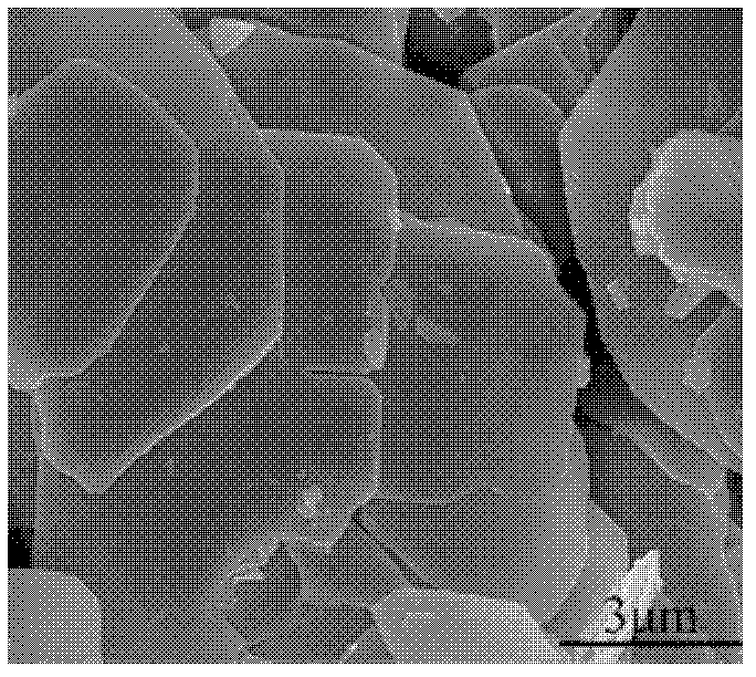 BiOI (bismuth Oxyiodide)/AgX (silver Halide) Visible Light Response ...