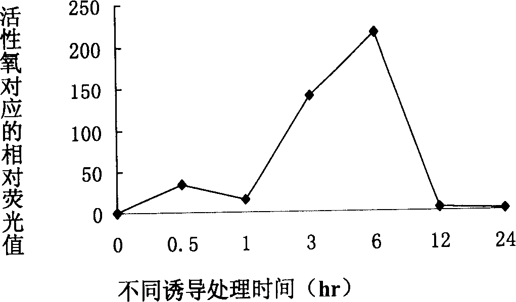 Chitosan oligosaccharide containging pesticide composition and its application
