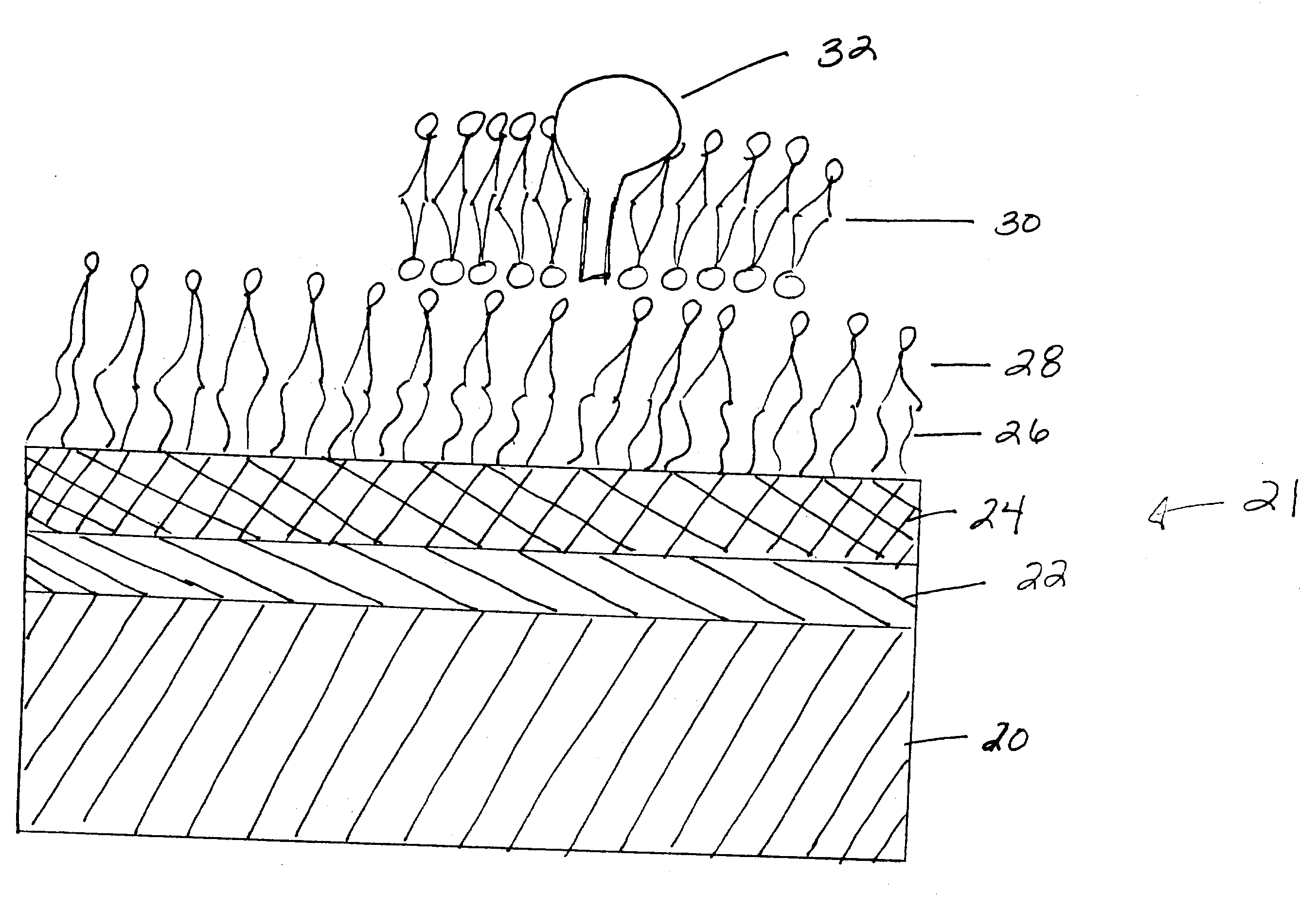 Methods for studying ion channels incorporated onto a solid-supported membrane