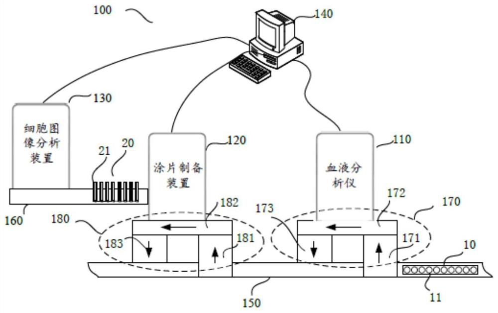 Cell analysis system and cell analysis method