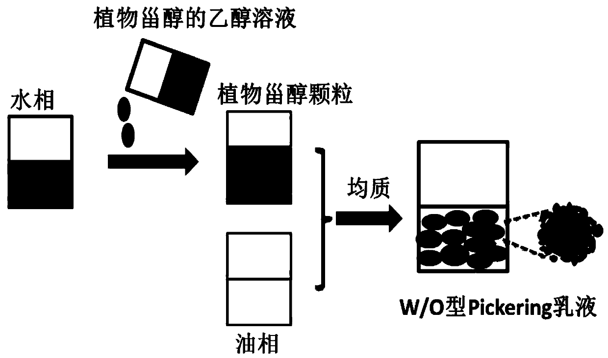 Preparation method of stable water-in-oil type Pickering emulsion based on phytosterol