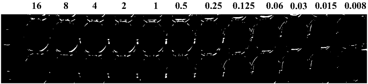 Method for restoring antibacterial activity of tigecycline