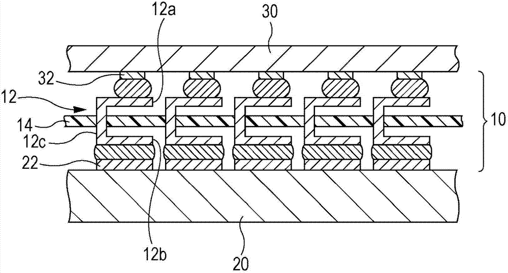 Interposer, circuit board module, and method for manufacturing interposer