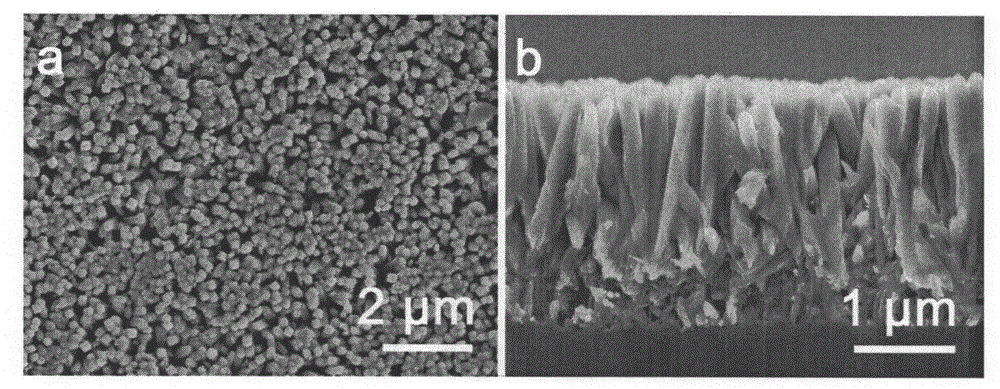 Method for preparing nano TiO2 array on porous silicon substrate by adopting hydrothermal method