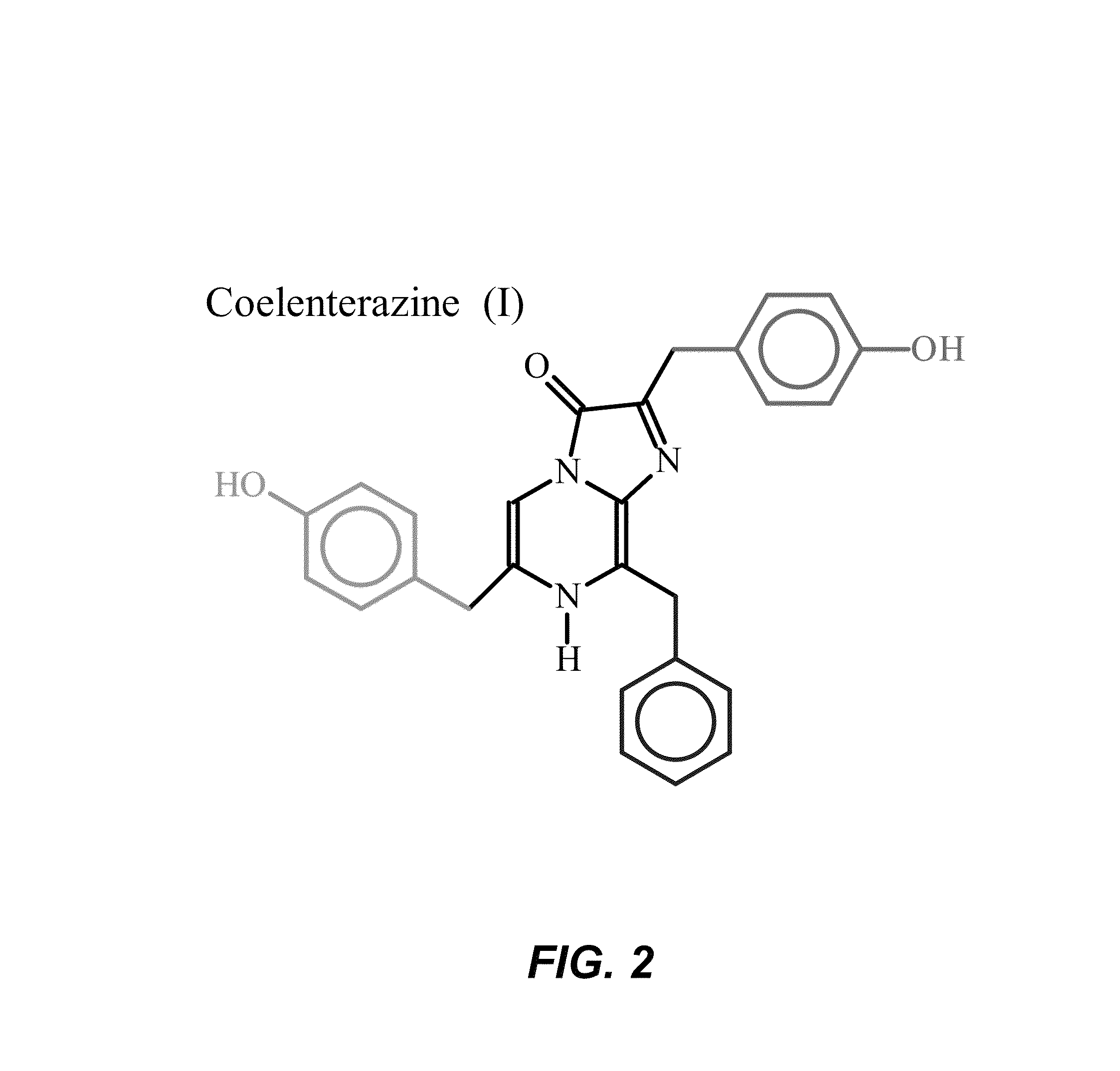 Bioluminescent endoscopy methods and compounds