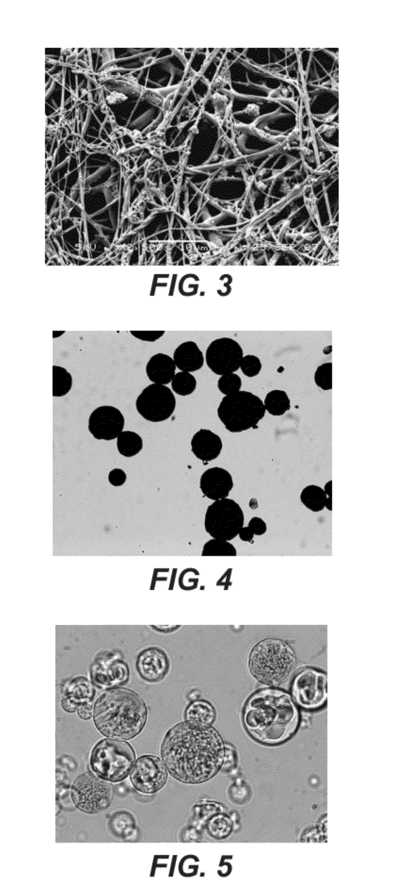 Degradable removable implant for the sustained release of an active compound