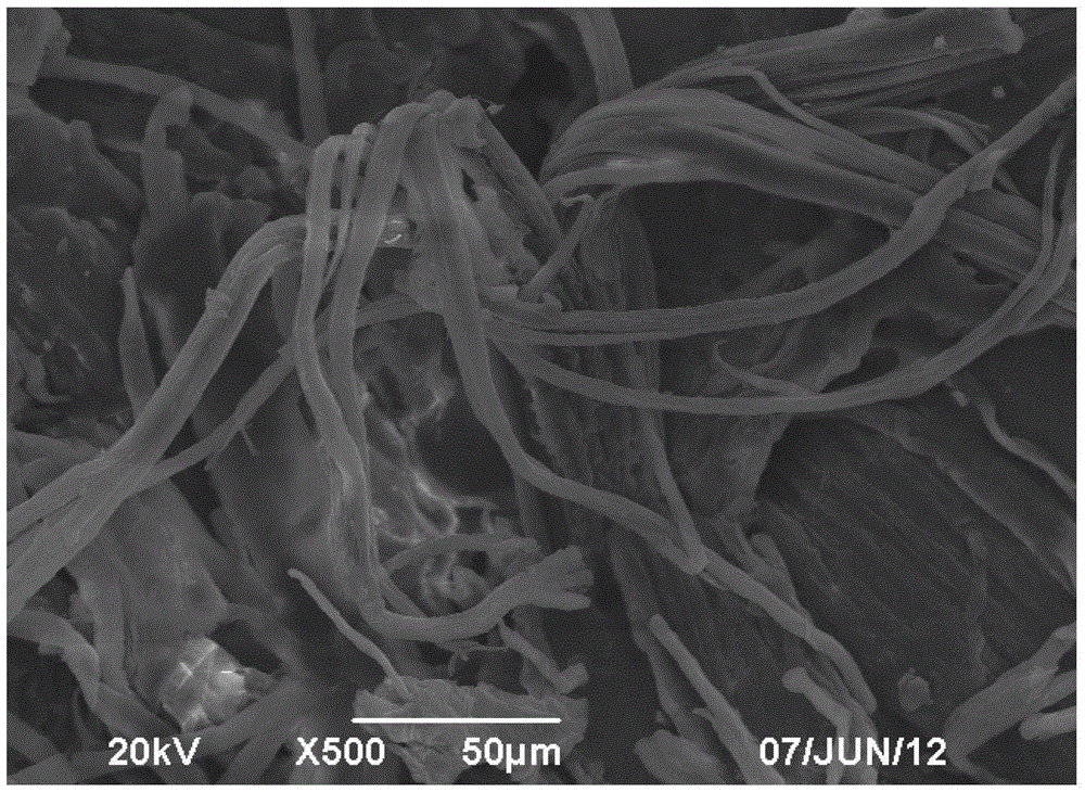 A new process for preparing lignocellulosic biomass microcrystalline cellulose