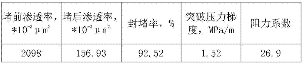 Double-slug compound profile control agent for fractured reservoir and use method of profile control agent