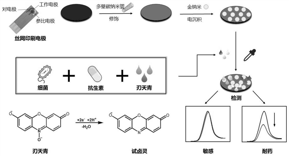 A kind of electrochemical detection method of bacterial drug resistance
