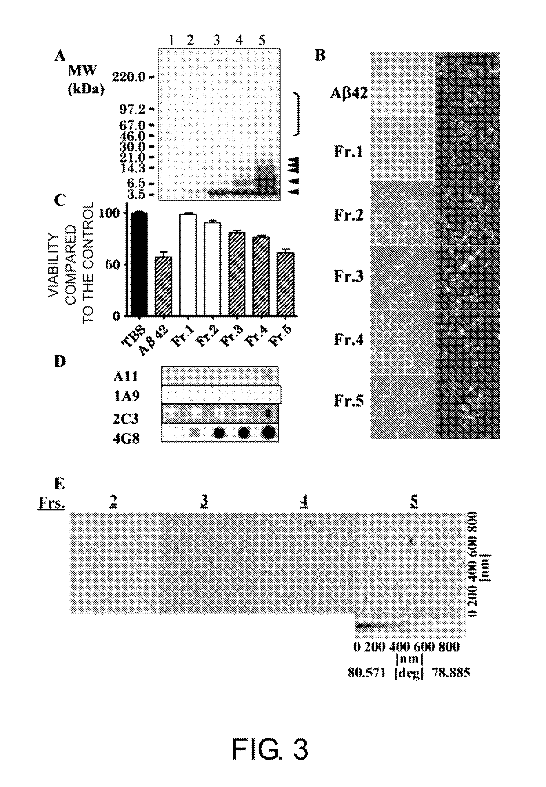 Antibodies that specifically bind to Aβ oligomers and uses thereof