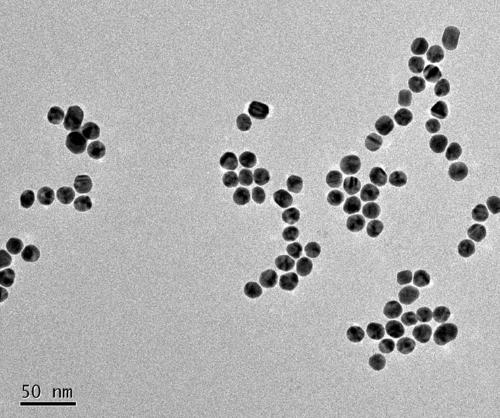 Staphylococcus aureus colorimetric sensation detection method based on aptamer recognization-HCR (hybridization chain reaction) and application of method