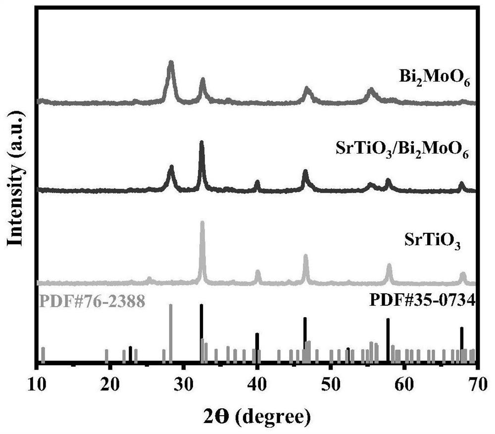 Strontium titanate/bismuth molybdate heterojunction nanofiber photocatalyst as well as preparation method and application thereof