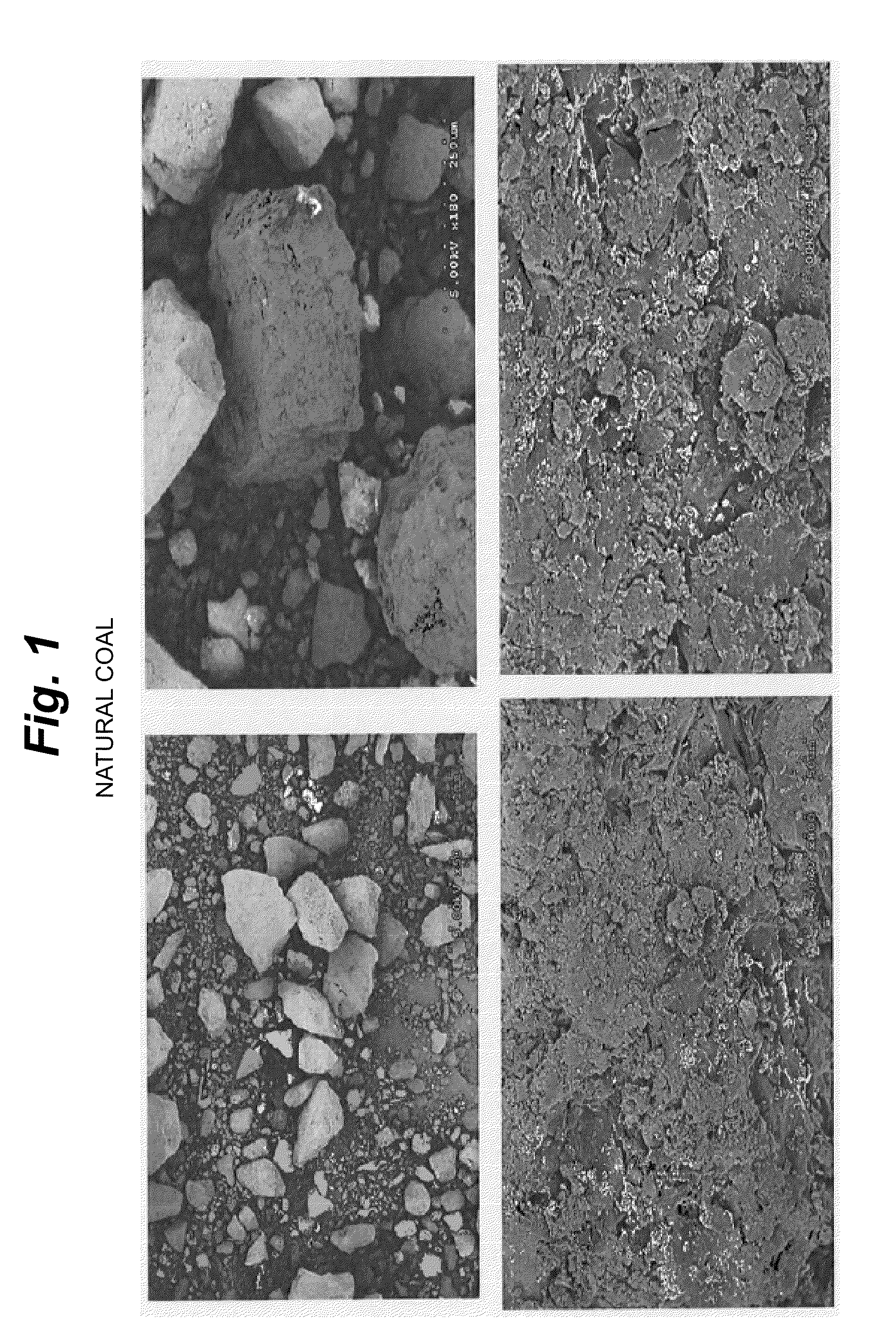 Algal coal and process for preparing same