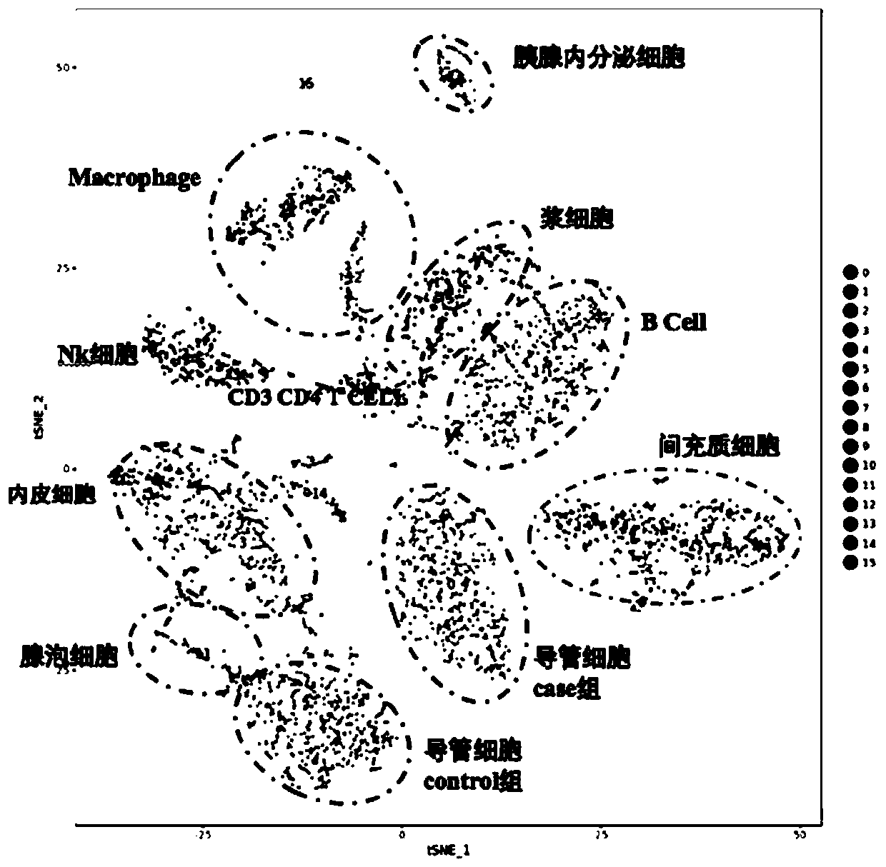 Method for preparing pancreatic single cell suspension of chronic pancreatitis mouse