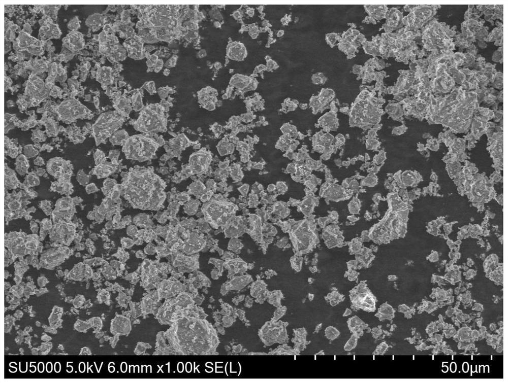 Method for synergistically removing activated sludge moisture from non-ferrous metal tailings