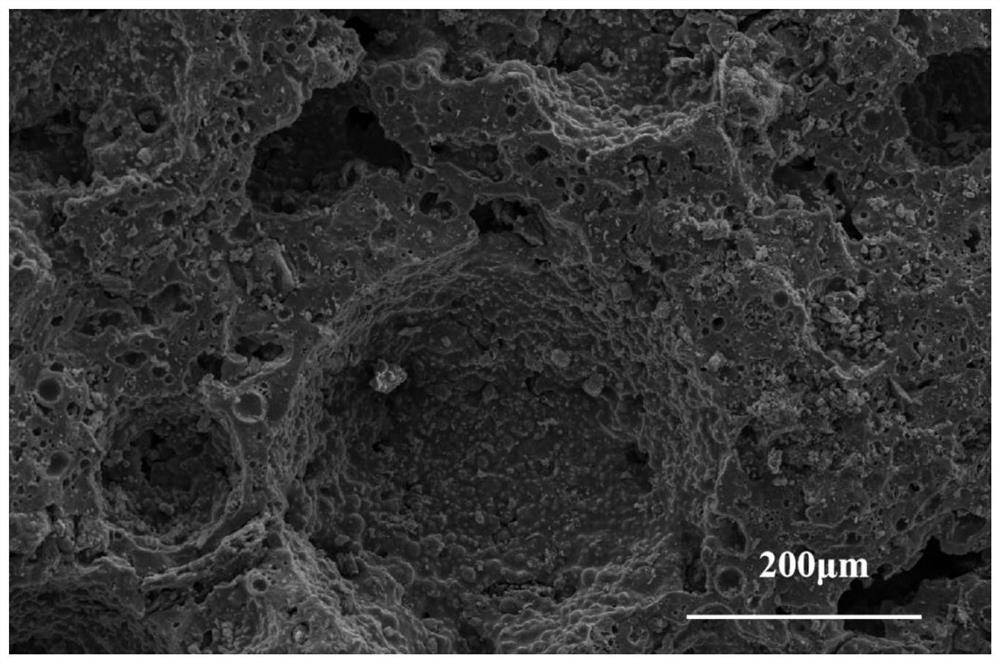 Preparation method of alkali-activated fly ash-converted carbon nanotube/leucite porous ceramic composite material