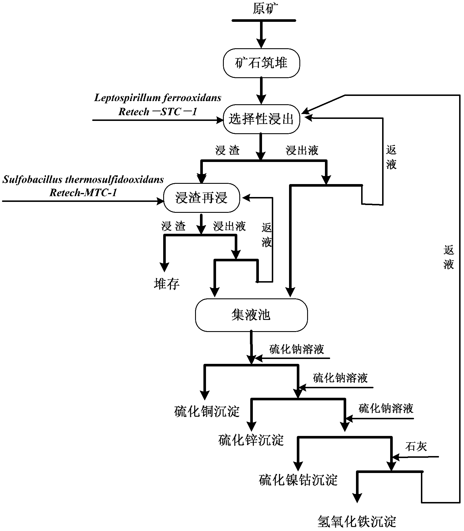 Low-grade multi-metal sulfide mineral selective bioleaching technology