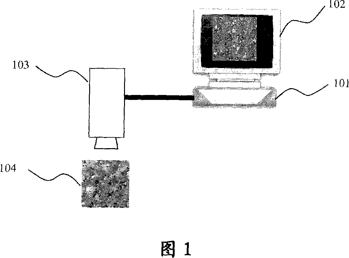 Determining method of colorful riffled paint compound information and base material visual information