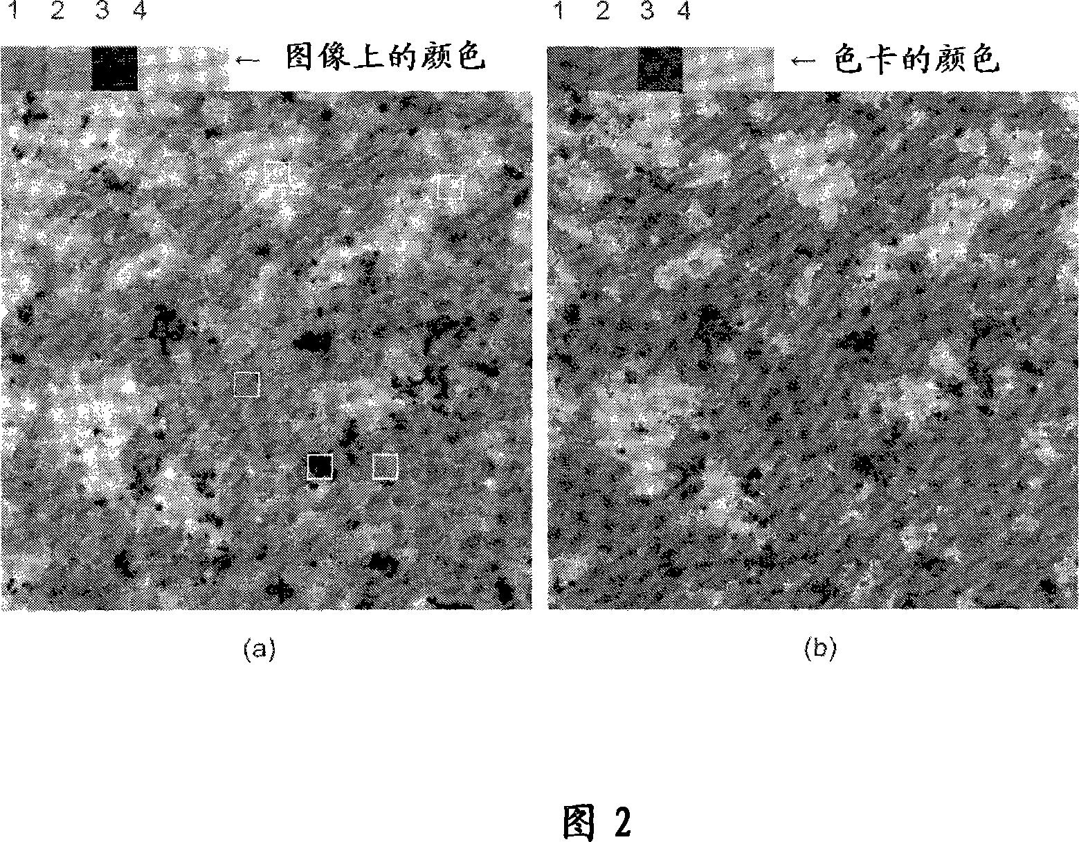 Determining method of colorful riffled paint compound information and base material visual information