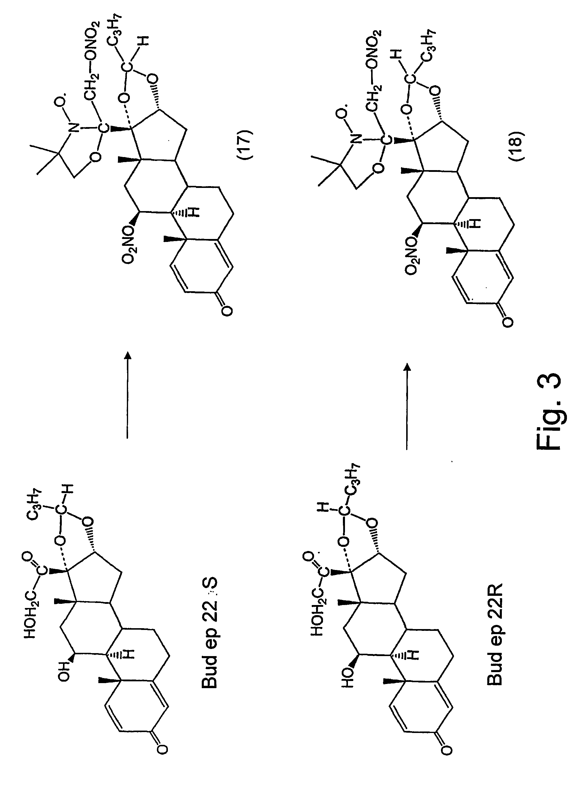 Steroid compounds comprising superoxide dismutase mimic groups and nitric oxide donor groups, and their use in the preparation of medicaments